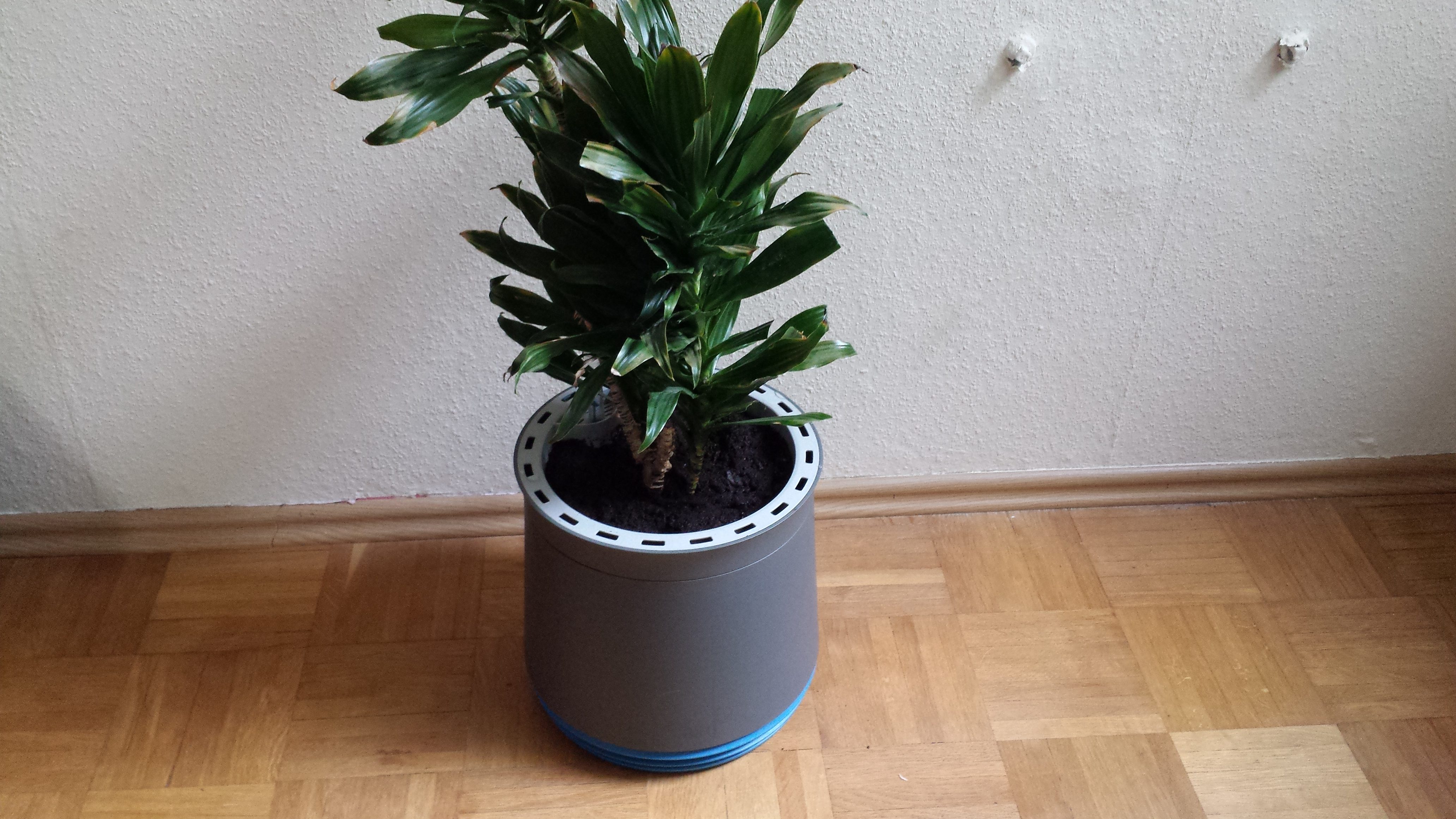 AIRY- Der Blumentopf für bessere Luft und Leistungsfähigkeit