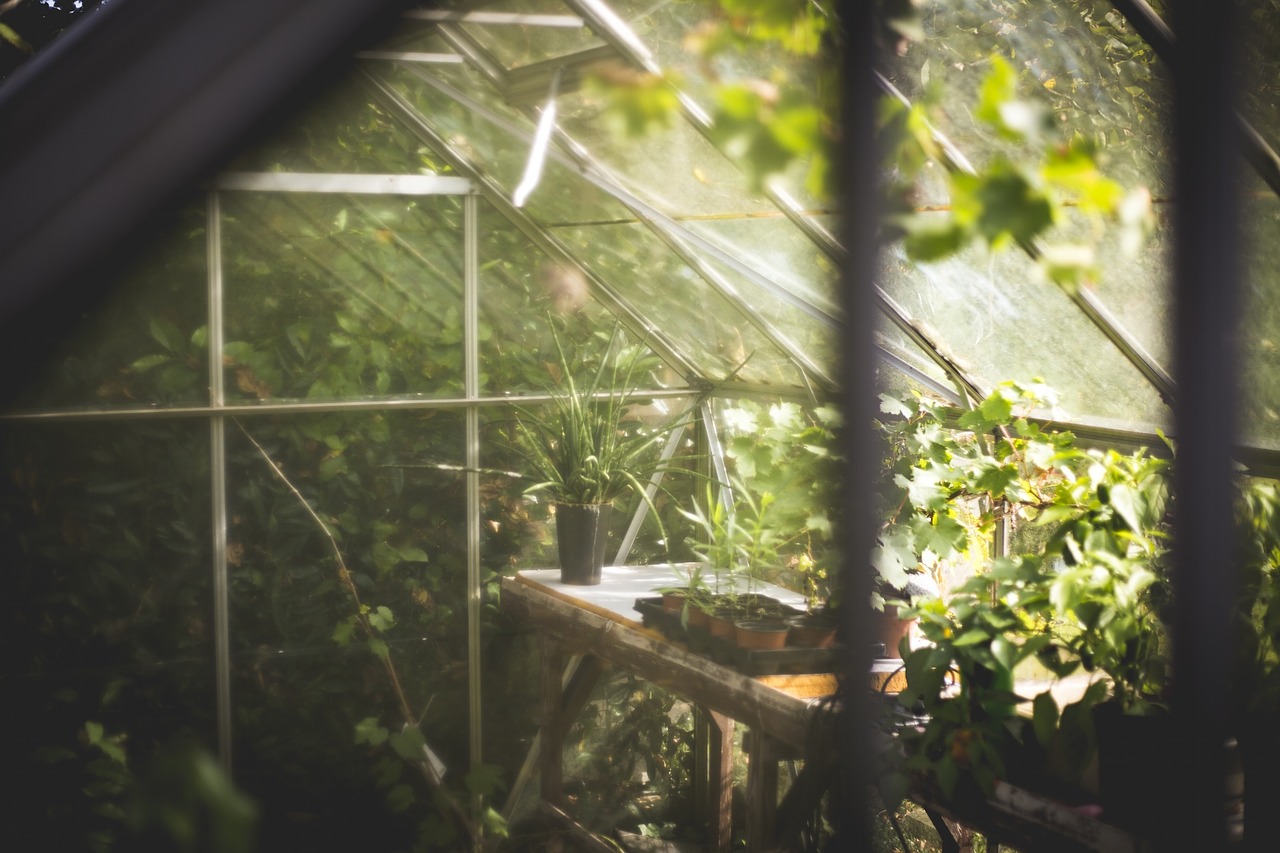 Greenunit 2.0 – Dein Start zum Garten in den eigenen vier Wänden?
