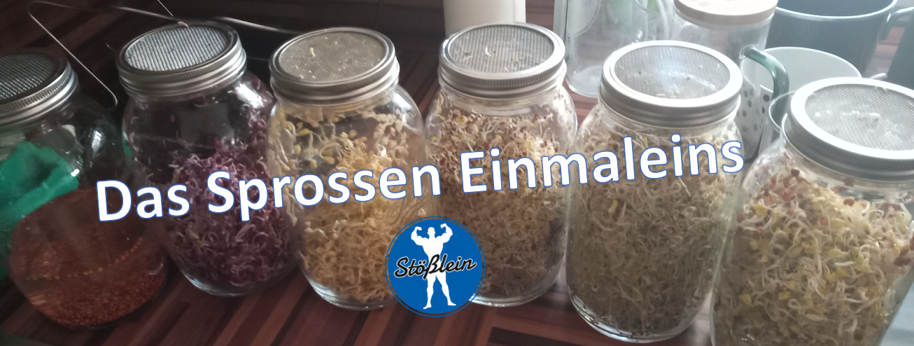 Das Sprossen Einmaleins